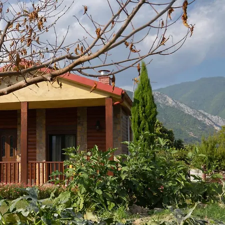 招待所 Pozar Park 3*