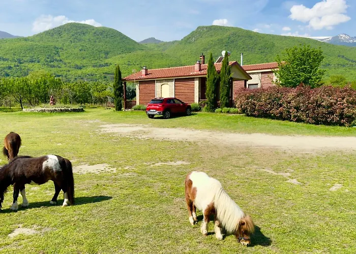 Pozar Park Pensjonat 3*